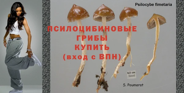 гидропоника Корсаков