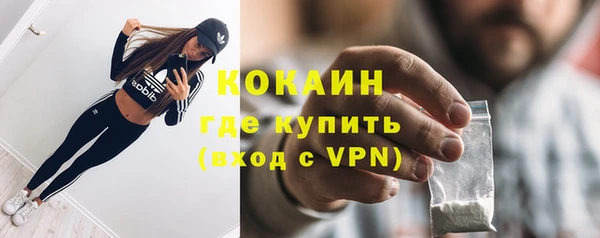амф Богданович