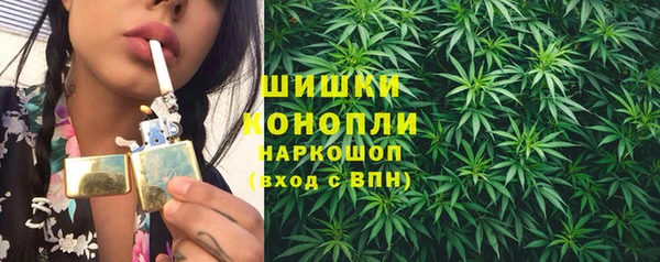 амф Богданович