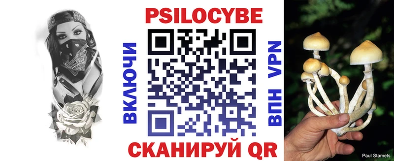 Галлюциногенные грибы Magic Shrooms  закладки  Медногорск 