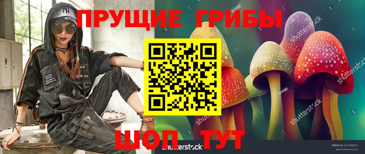 Псилоцибиновые грибы Cubensis Медногорск