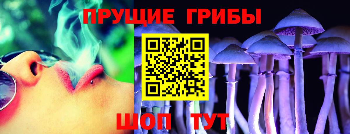 Медногорск  наркота  Вход с VPN  Псилоцибиновые грибы Cubensis 
